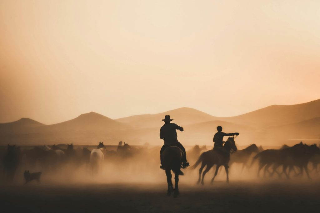 Cowboys in webdesign